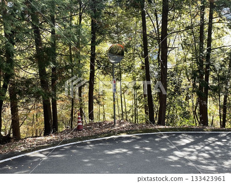 Curved mirror of mountain path 133423961