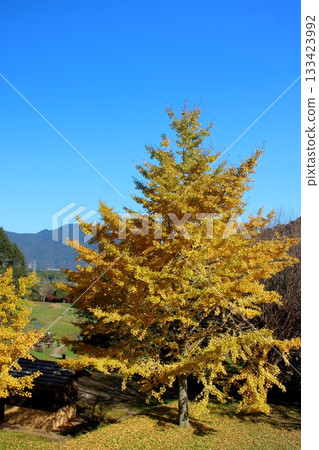 北九州市長野綠地：從森之家（第二綠地托兒中心）眺望 133423992