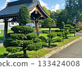 Japanese shrine with manicured trees and a blue sky on a sunny day 133424008
