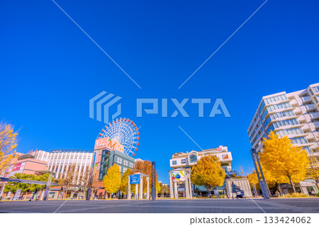 日本橫濱城市景觀，11月22日。圖中可見中心北站、都築阪急摩天輪等。 133424062