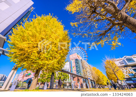 日本橫濱城市景觀，11月22日。圖中可見中心北站、都築阪急摩天輪等。 133424063