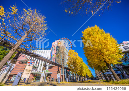 Yokohama cityscape, Japan, November 22nd. View of Center-Kita Station, Tsuzuki Hankyu Ferris wheel, etc. 133424066