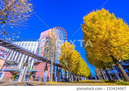 日本橫濱城市景觀，11月22日。圖中可見中心北站、都築阪急摩天輪等。 133424067