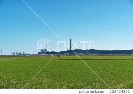 南相馬市鹿島區的稻田（秋季，11月） 133424501