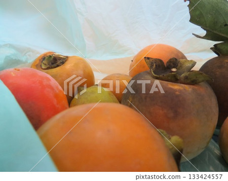 persimmon persimmon 133424557