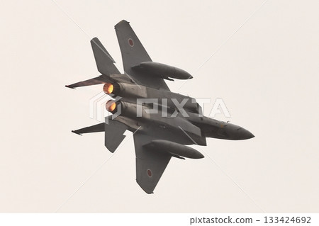 F15 Eagle 133424692