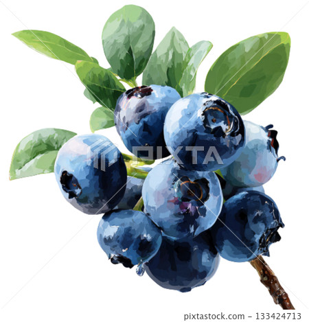 Blueberry 133424713