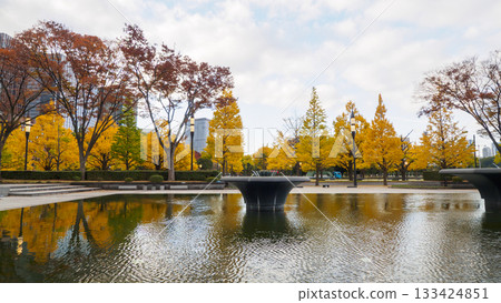 Ginkgo trees and their autumn leaves seen from Gyoko-dori Ginkgo trees and their autumn leaves seen from Gyoko-dori 133424851