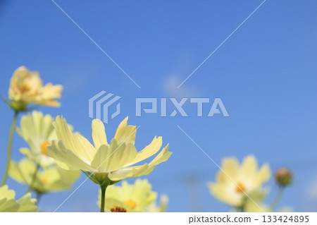 宇宙在秋天的天空中閃耀 133424895