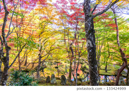 Autumn leaves Sendai Akiu Natural Park Autumn leaves Sendai Akiu Natural Park 133424999