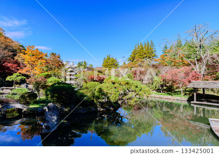 仙台秋生自然公園的秋葉 仙台秋生自然公園的秋葉 133425001