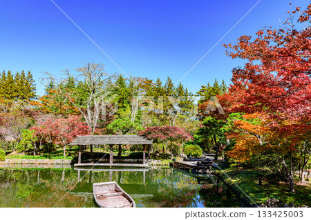 仙台秋生自然公園的秋葉 仙台秋生自然公園的秋葉 133425003