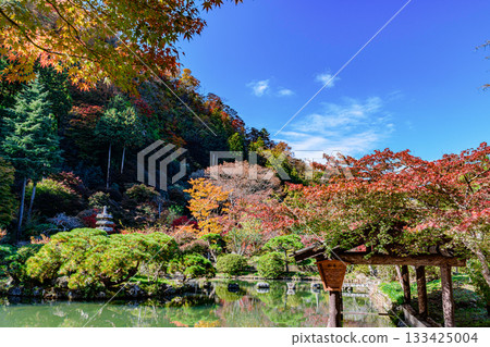 仙台秋生自然公園的秋葉 仙台秋生自然公園的秋葉 133425004