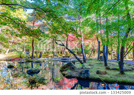 Autumn leaves Sendai Akiu Natural Park 133425009