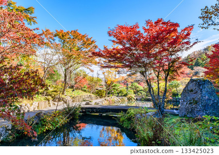 仙台秋生自然公園的秋葉 仙台秋生自然公園的秋葉 133425023