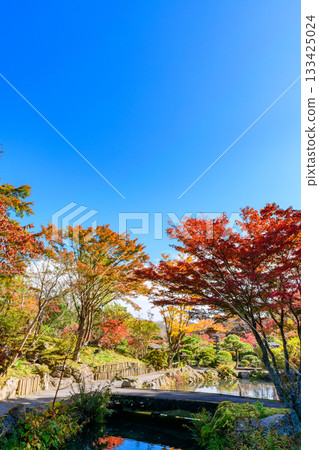 仙台秋生自然公園的秋葉 仙台秋生自然公園的秋葉 133425024
