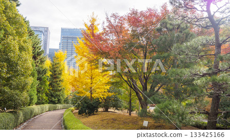 皇宮東花園的秋景 133425166