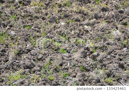 犁過的稻田(岐阜縣不破郡關原町) 犁過的稻田(岐阜縣不破郡關原町) 133425461
