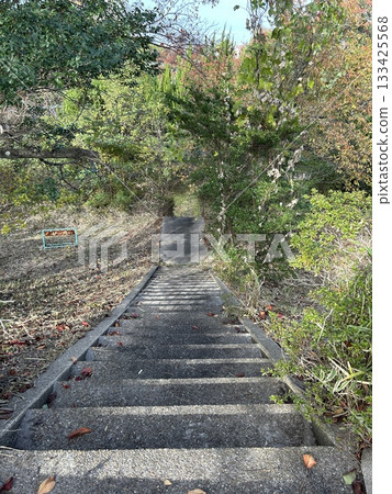 The stairs The stairs 133425568