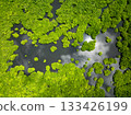 Mangrove forest with scattered green islets and dark water reflecting clouds and sun. Siargao, Philippines. 133426199