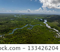 Aerial view of river curving through green tropical forest and mangroves with view toward the ocean. Siargao, Philippines. 133426204