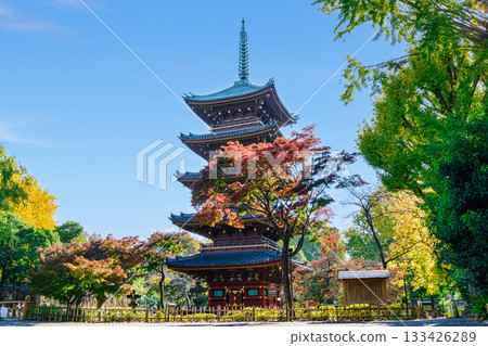 東京上野動物園，原寬永寺五重塔，重要文化財產 133426289
