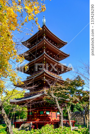 Tokyo, Ueno Zoo, Former Kan'ei-ji Temple Five-Story Pagoda, Important Cultural Property Tokyo, Ueno Zoo, Former Kan'ei-ji Temple Five-Story Pagoda, Important Cultural Property 133426290