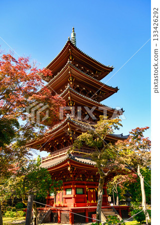 Tokyo, Ueno Zoo, Former Kan'ei-ji Temple Five-Story Pagoda, Important Cultural Property Tokyo, Ueno Zoo, Former Kan'ei-ji Temple Five-Story Pagoda, Important Cultural Property 133426292