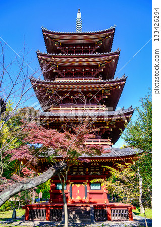 東京上野動物園，原寬永寺五重塔，重要文化財產 133426294