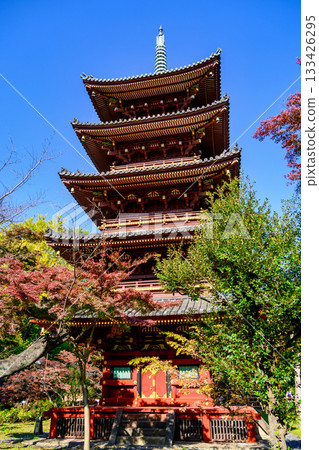 Tokyo, Ueno Zoo, Former Kan'ei-ji Temple Five-Story Pagoda, Important Cultural Property Tokyo, Ueno Zoo, Former Kan'ei-ji Temple Five-Story Pagoda, Important Cultural Property 133426295