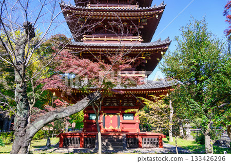 Tokyo, Ueno Zoo, Former Kan'ei-ji Temple Five-Story Pagoda, Important Cultural Property Tokyo, Ueno Zoo, Former Kan'ei-ji Temple Five-Story Pagoda, Important Cultural Property 133426296