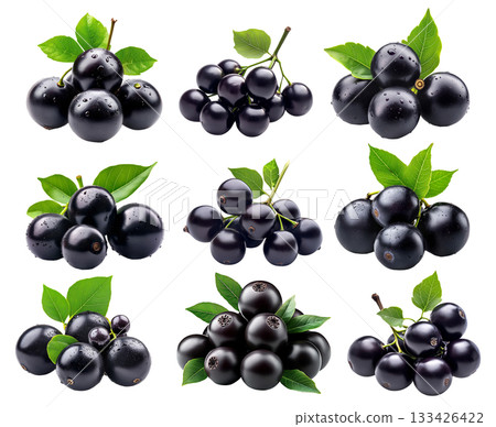 Set of dark purple acai or Jabuticaba berries with green leaves, isolated on white transparent background. Set of dark purple acai or Jabuticaba berries with green leaves, isolated on white transparent background. 133426422