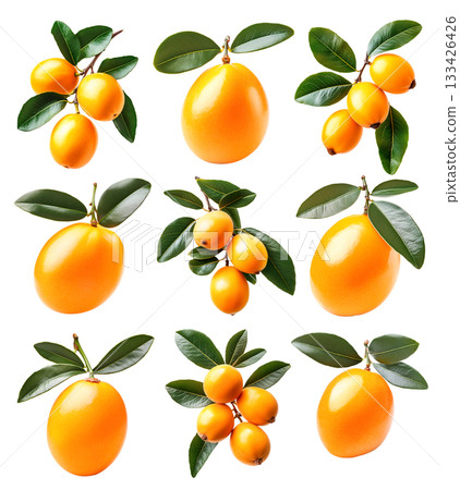 Set of yellow loquat fruits with green leaves on branch, isolated on white background. Concept of organic tropical fruit Set of yellow loquat fruits with green leaves on branch, isolated on white background. Concept of organic tropical fruit 133426426