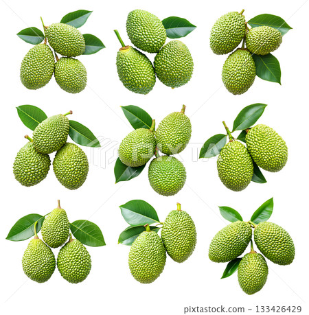 Set of Marang fruit with textured skin and green leaves, isolated on white background. Concept of tropical fruits Set of Marang fruit with textured skin and green leaves, isolated on white background. Concept of tropical fruits 133426429
