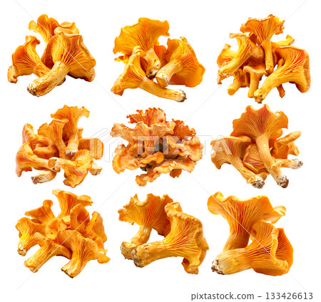 Orange cap chanterelle mushroom isolated on a white background Orange cap chanterelle mushroom isolated on a white background 133426613