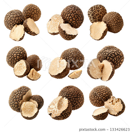 Set of summer truffles Burgundy isolated on white transparent background, great for culinary and gourmet themes Set of summer truffles Burgundy isolated on white transparent background, great for culinary and gourmet themes 133426623