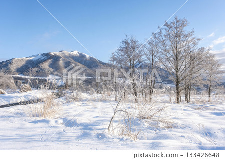 Frost on the countryside (Hiruzen Plateau) Frost on the countryside (Hiruzen Plateau) 133426648