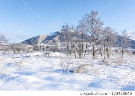 Frost on the countryside (Hiruzen Plateau) Frost on the countryside (Hiruzen Plateau) 133426649
