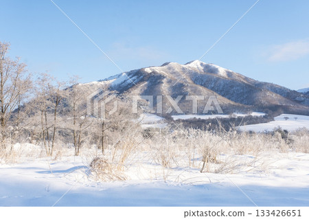 Frost on the countryside (Hiruzen Plateau) 133426651