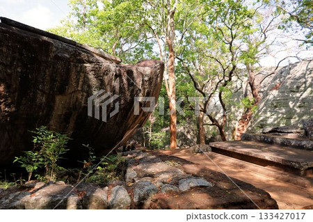 錫吉里耶岩石景觀[斯里蘭卡] 133427017
