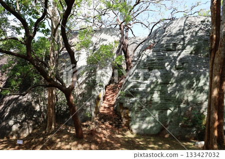 錫吉里耶岩石景觀[斯里蘭卡] 133427032