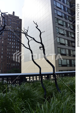 A strange dead tree on the High Line in Manhattan, New York 133427109