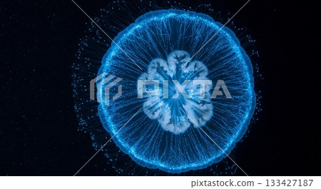 Luminescent Blue Moon Jellyfish with Radial Tentacles Floating in Dark Ocean Waters with Bioluminescent Particles Luminescent Blue Moon Jellyfish with Radial Tentacles Floating in Dark Ocean Waters with Bioluminescent Particles 133427187