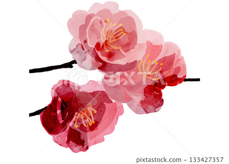 水彩畫紅梅花的插圖 133427357