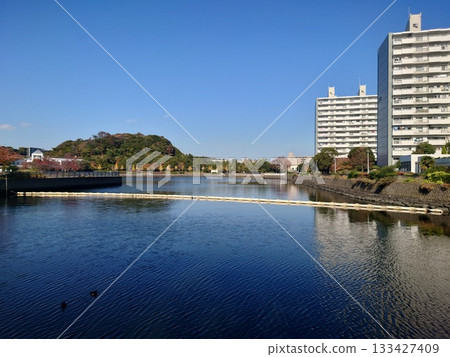 船圓(橫濱市金澤區並木) 船圓(橫濱市金澤區並木) 133427409