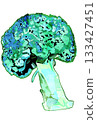 Hand-drawn cute cool-colored broccoli 133427451
