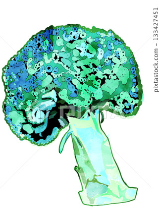 Hand-drawn cute cool-colored broccoli 133427451