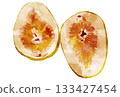 Illustration of a cross section of a cut fig 133427454