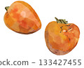 Illustration of persimmon drawn in watercolor 133427455