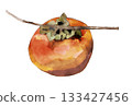 Watercolor illustration of persimmon 133427456